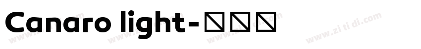 Canaro light字体转换